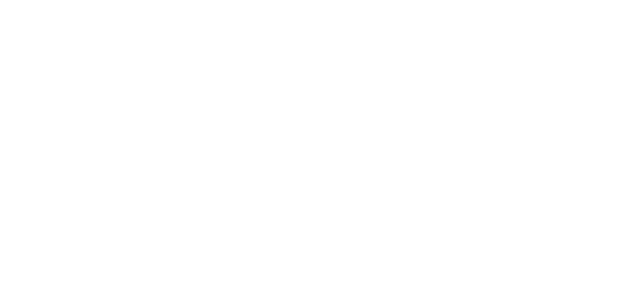 Meta Business Partner